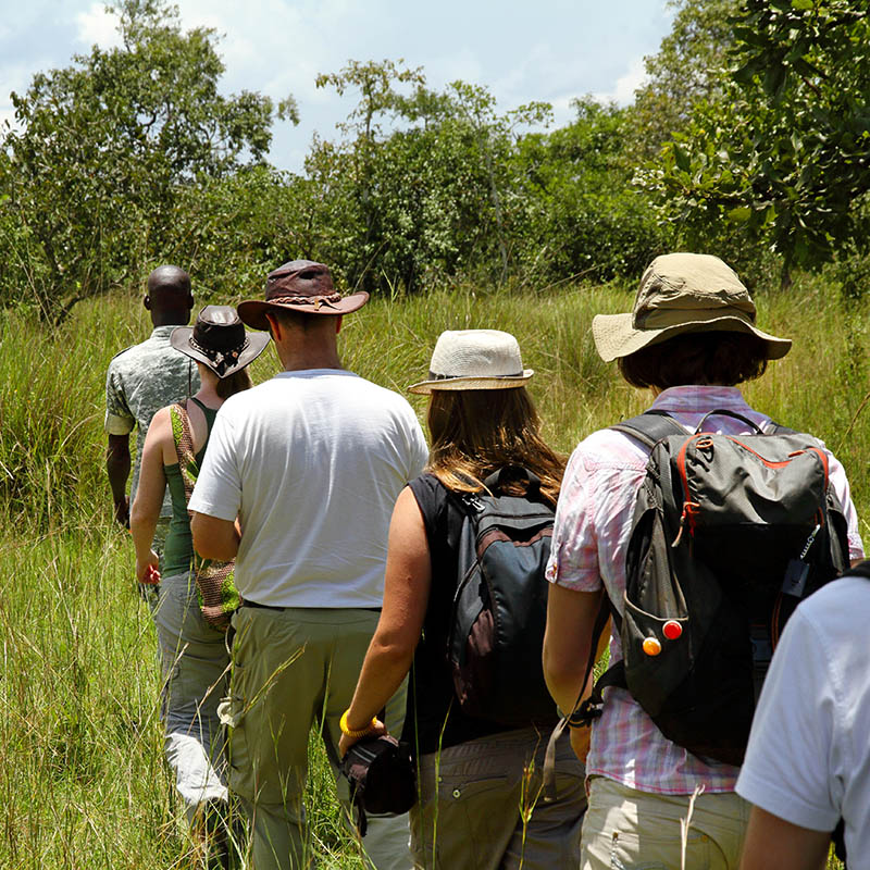 Walking safari in Africa