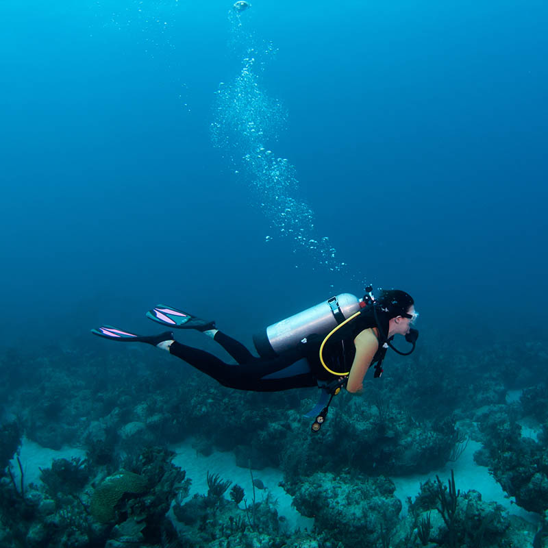 Female scuba diver over a coral reef in the Bahamas