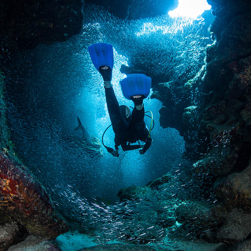 A diver explores the cracks, crevices and holes in a coral reef on the island of Grand Cayman