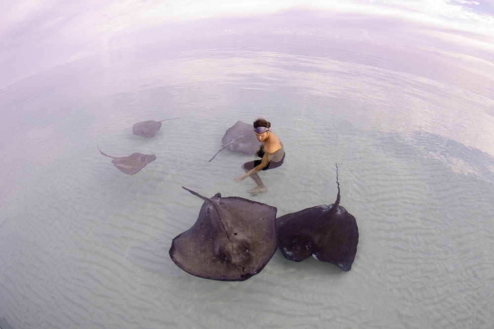 Snorkelling with stingrays in the Cayman Islands