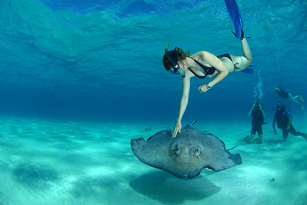 Snorkelling with stingrays in the Cayman Islands