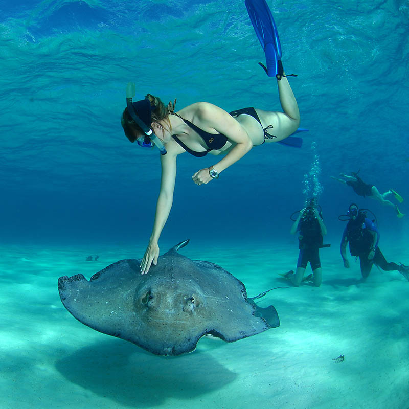 Snorkelling with stingrays in the Cayman Islands