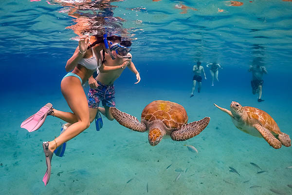 Swimming with Turtles on the Caribbean Island of Curaçao