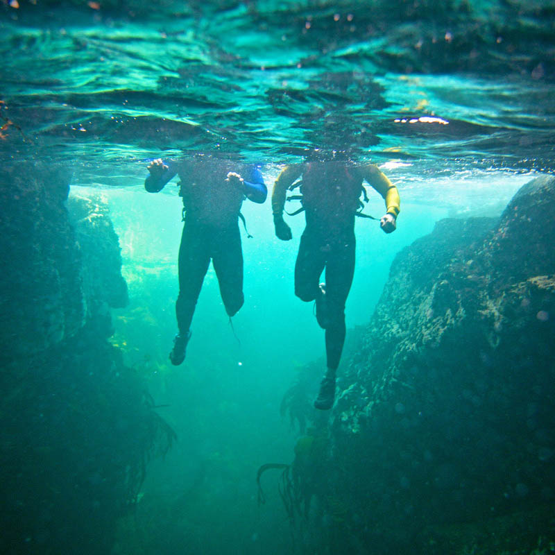 Diving along the Wild Atlantic Way 