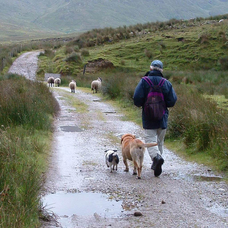 Walking in County Mayo, Ireland