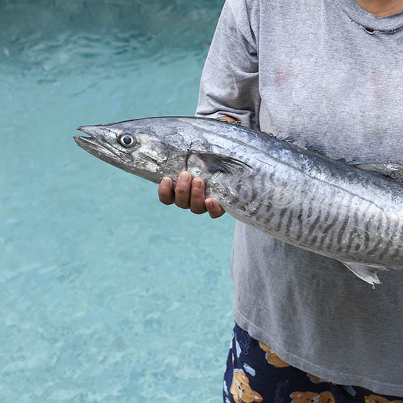 Women holding a wahoo fish or king mackerel fish