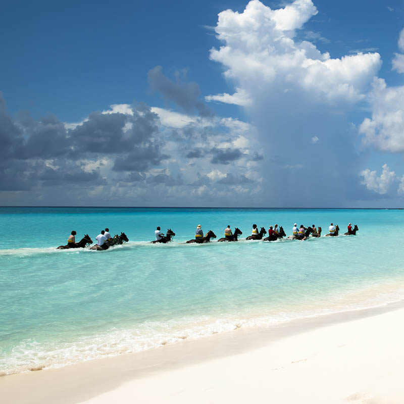 Group of people riding horses in the sea on a tropical beach