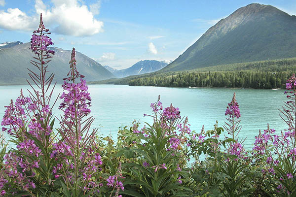 Kenai River, Alaska