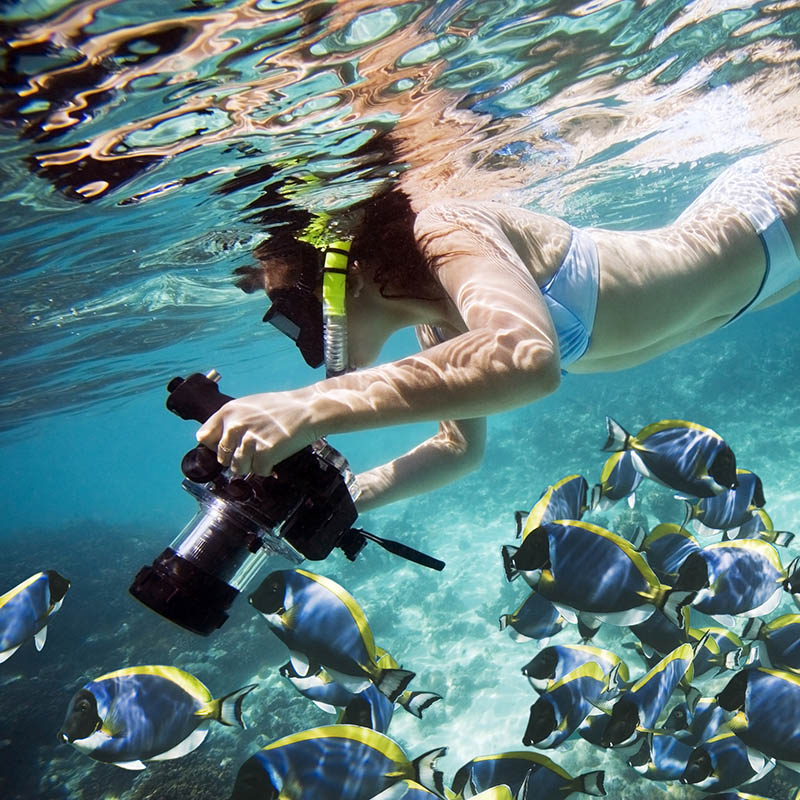 Snorkelling in the Caribbean