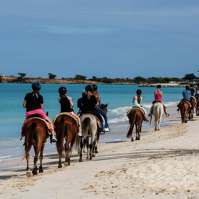 Horse riding on the beach at St. John, Antigua