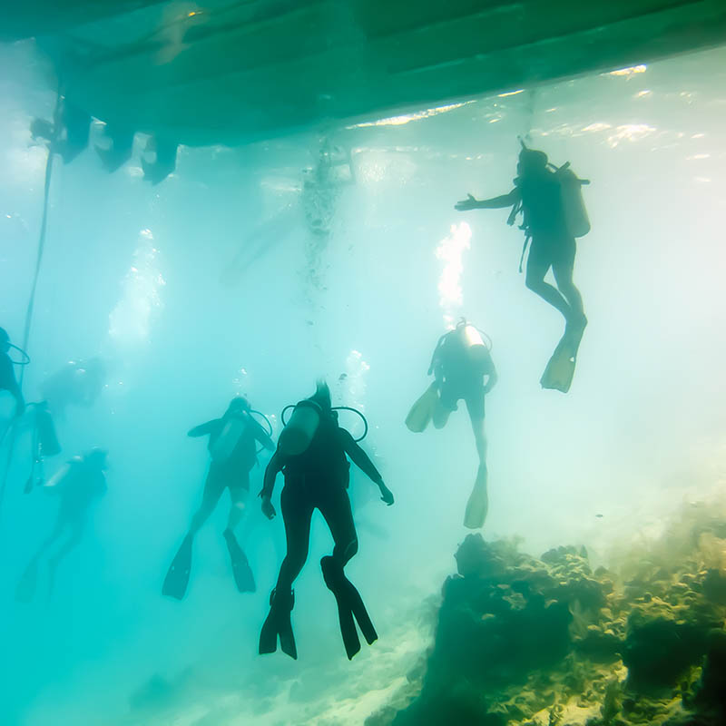 Diving the Blue Hole on Lighthouse Reef, Belize