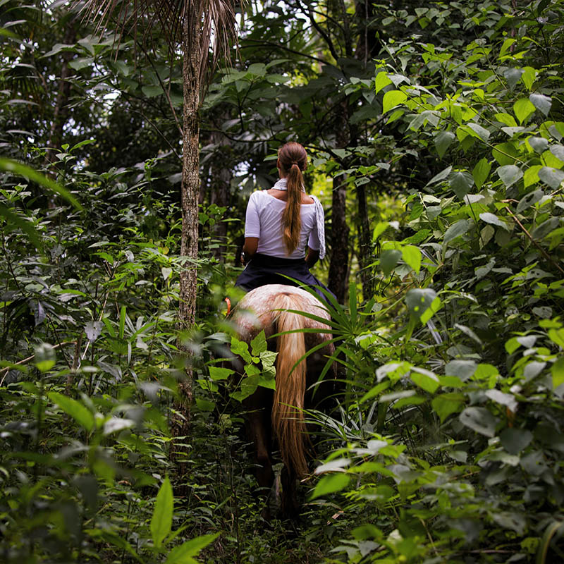 Girl horse riding in a jungle in Belize