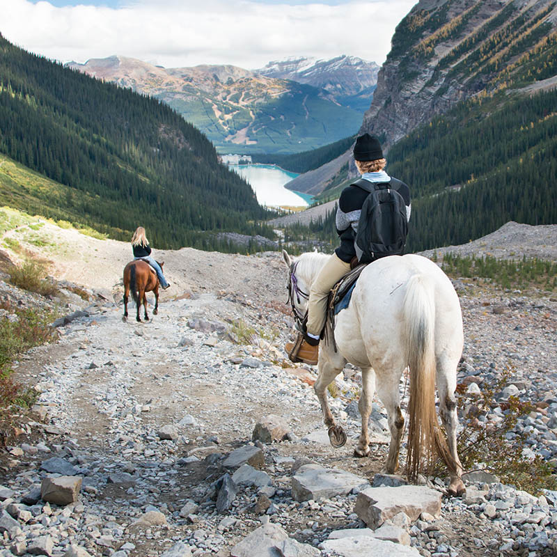 Horseback riding to Plain of Six Glaciers, Lake Louise, Banff National Park