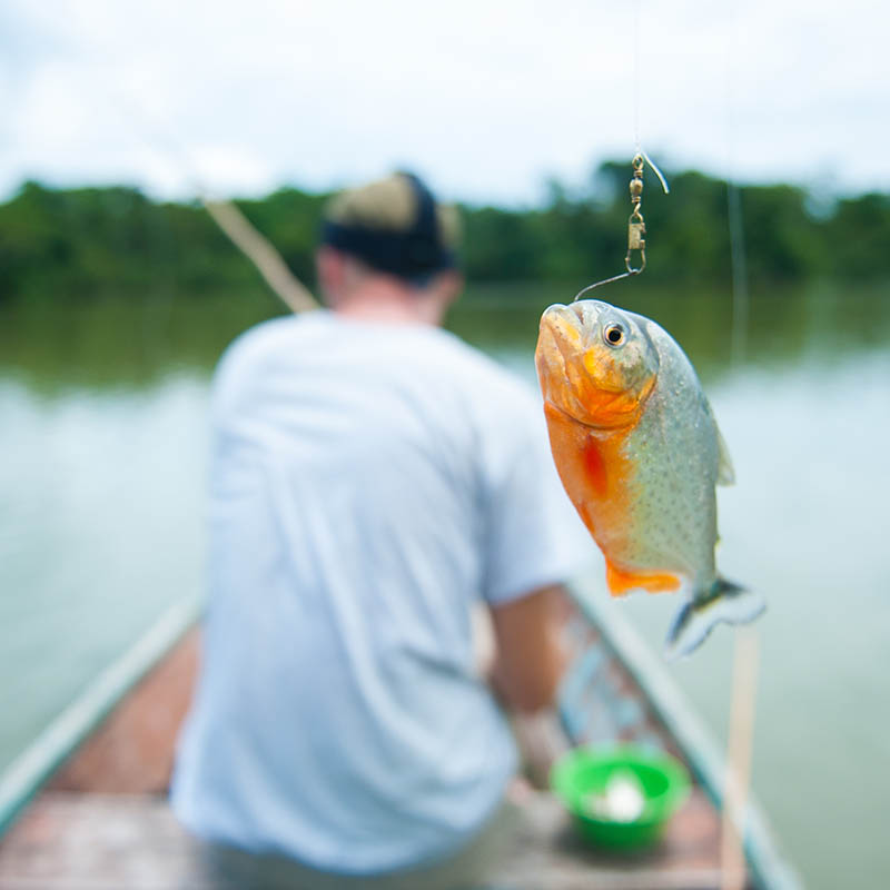 Fishing for piranha in the Colombian Amazon