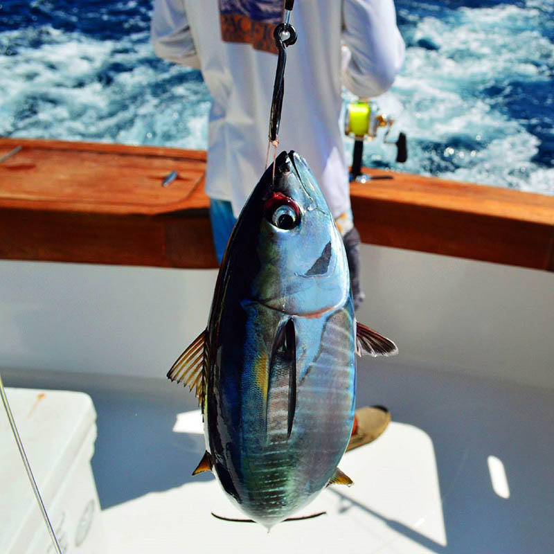 Marlin fishing on Costa Rica