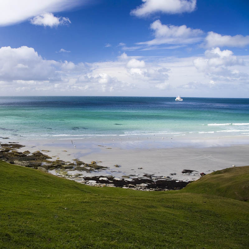 A beach in the Falkland Islands