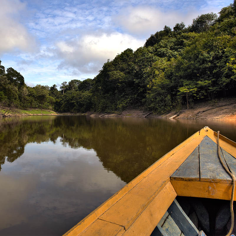 Boat trip along the Amazon