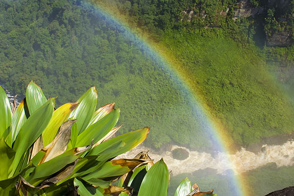 Kaieteur Falls, Guyana