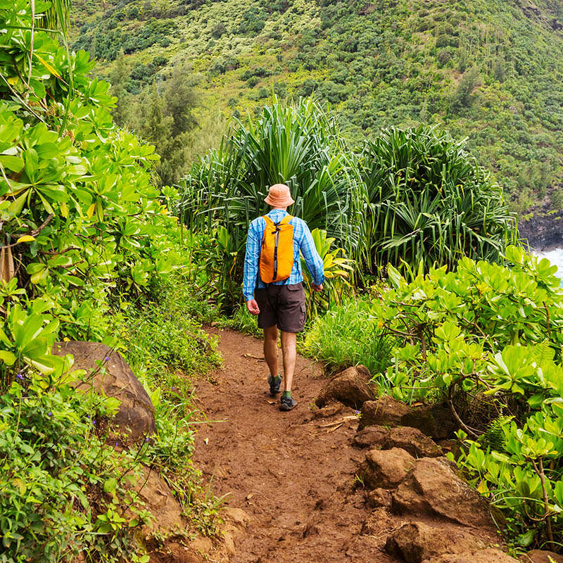 Hiking on Hawaii