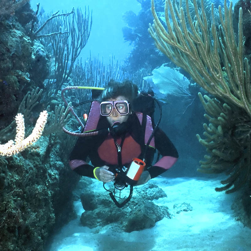 Scuba diving in Roatan, Honduras