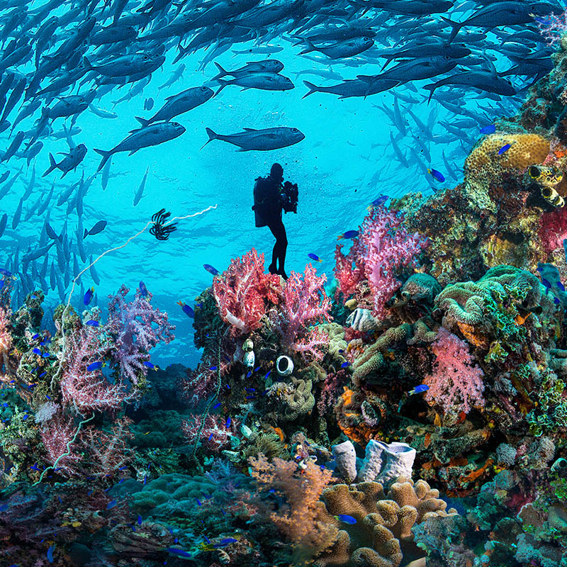 Suba diving in Micronesia