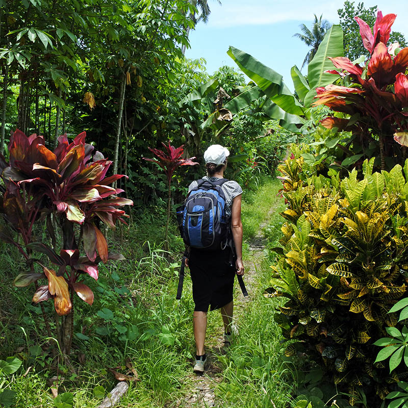 Hiking in Micronesia