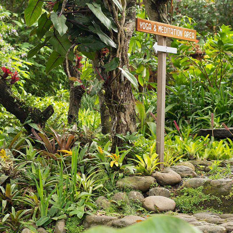 Sign pointing to meditation and yoga with beautiful tropical rain forest scenery