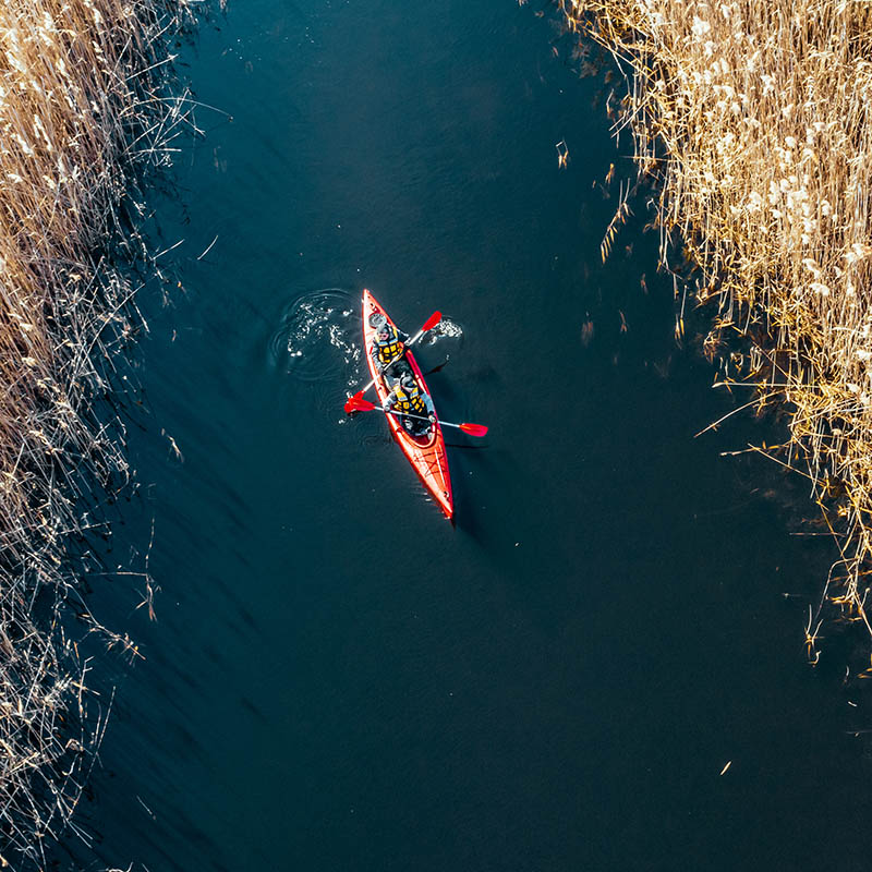 Aerial view of kayaking among reeds