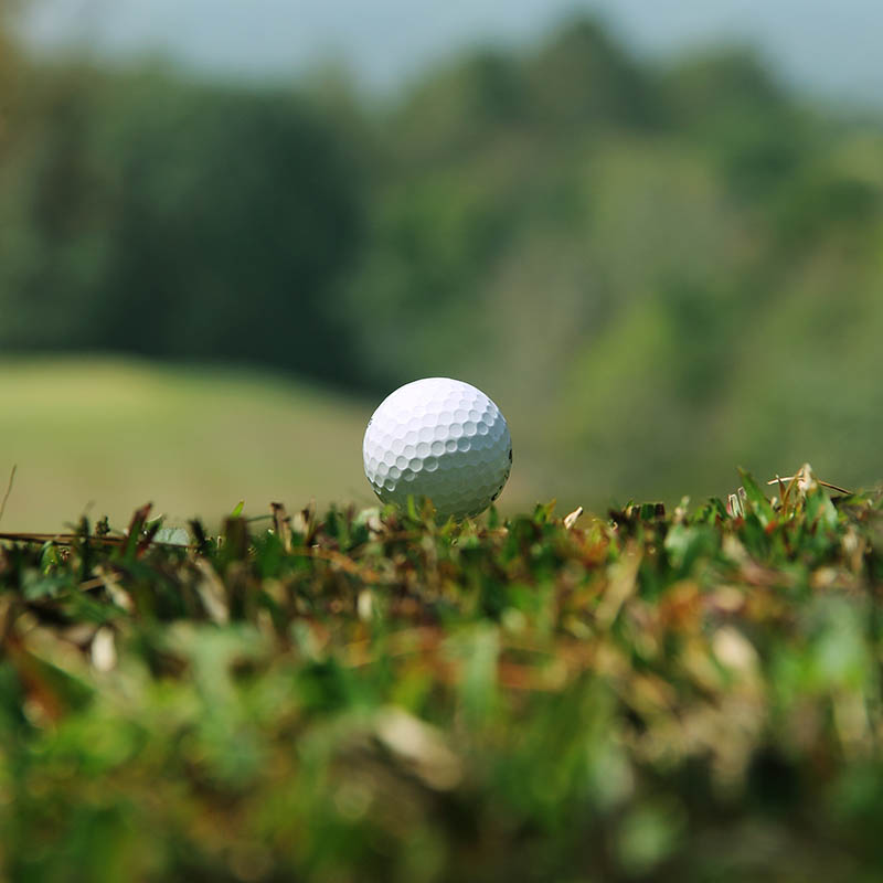 close-up of a golf ball on grass