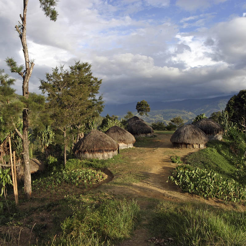 traditional village in Papua