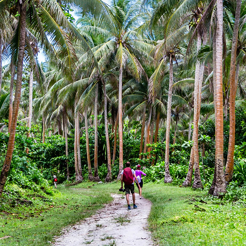 Hiking in the Solomon Islands