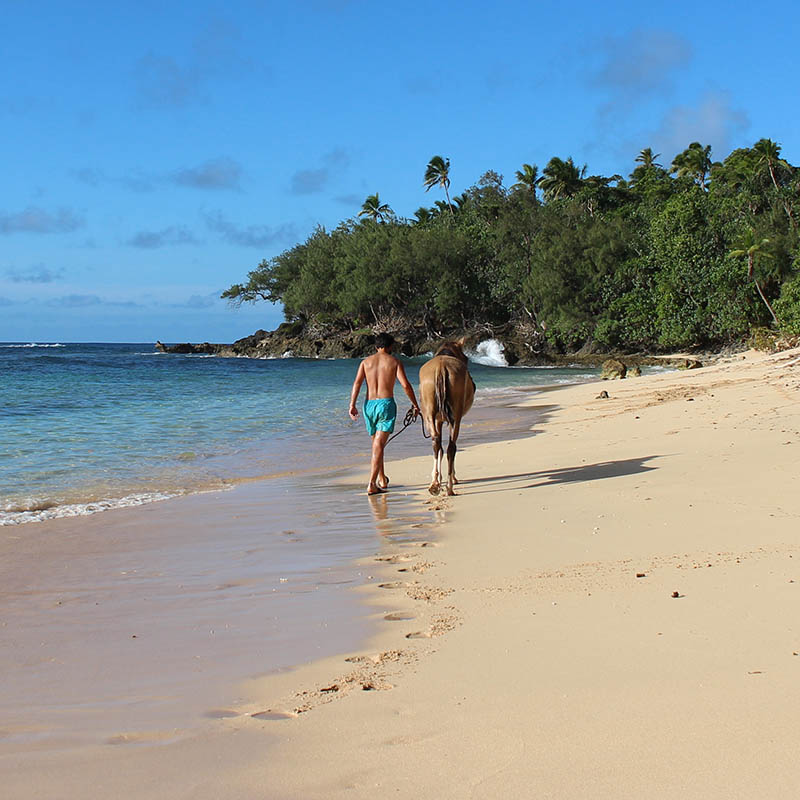 Horse riding on the beach on an island in Tonga