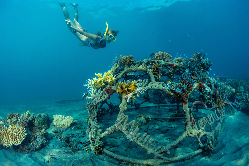 metal structure with baby corals in the reef restoration area in Pemuteran village. Bali