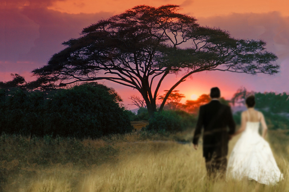 wedding couple standing in front of an acacia tree