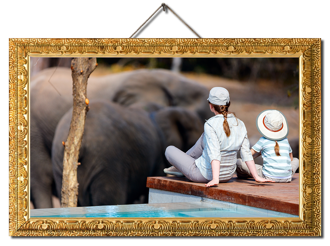 Mother & daughter on safari, sitting by a pool looking at elephants