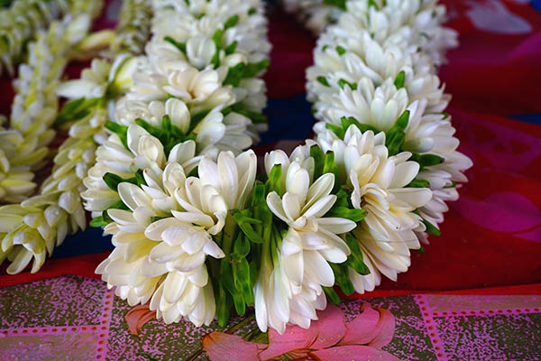 Fragrant lei garland made with fresh tiare flowers