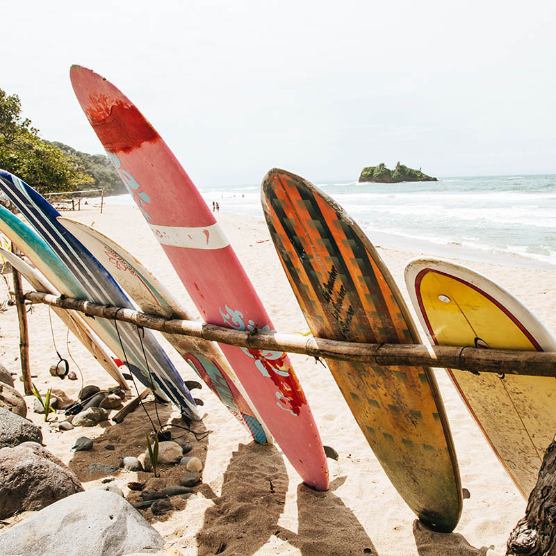 Surfboards lined up on a beach in Costa Rica