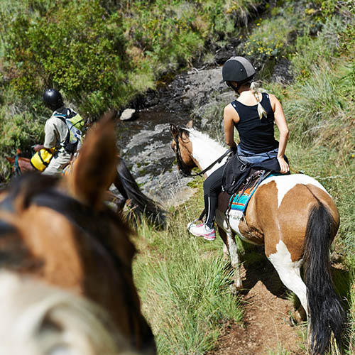 Group of people on a trail ride in the countryside