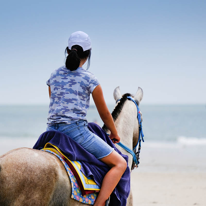 Young asian girls ridding horses on the beach