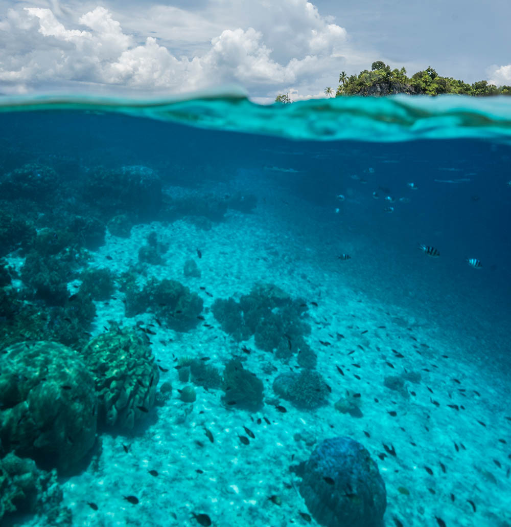 Tropical island split shot underwater, Raja Ampat, West Papua