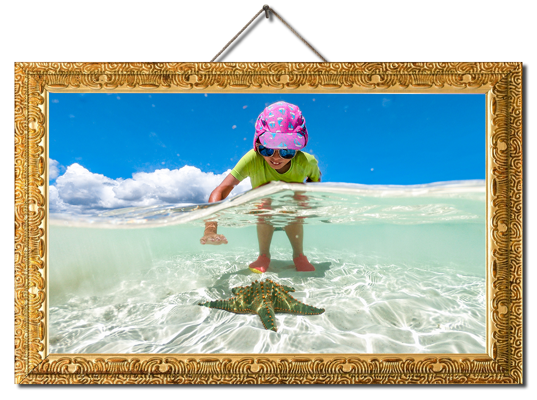 Young Girl Enjoying Finding a Starfish in the Sea