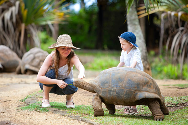 Mother and young son looking at an Aldabra giant tortoise in Mauritius