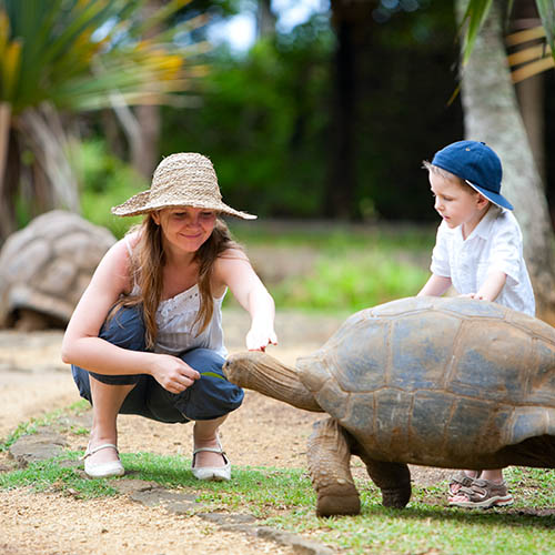 Mother and young son looking at an Aldabra giant tortoise in Mauritius