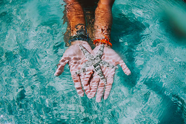 Woman swimming underwater showing a starfish in her hands