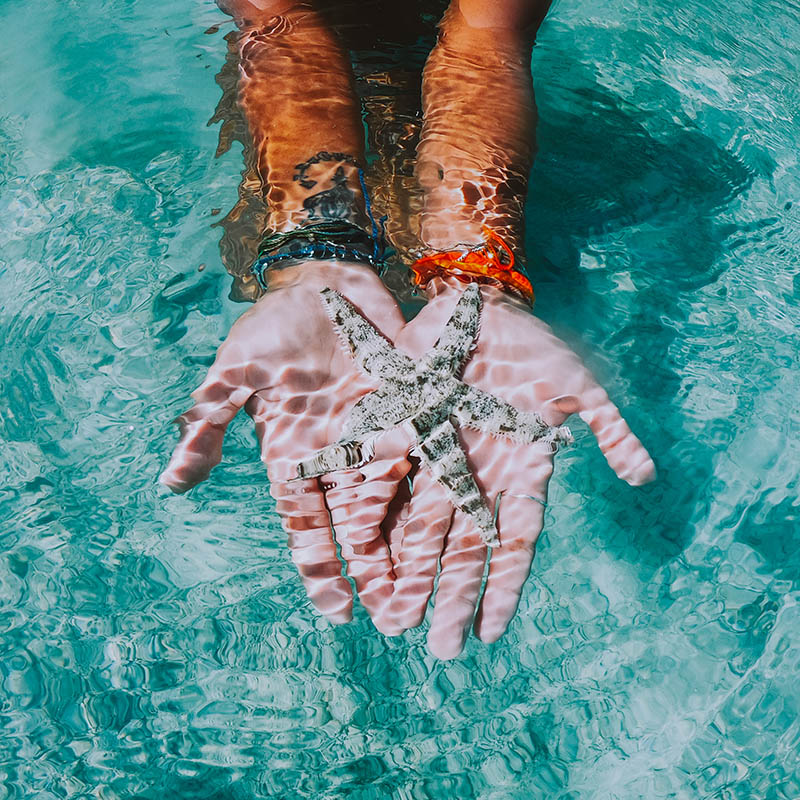 Woman swimming underwater showing a starfish in her hands