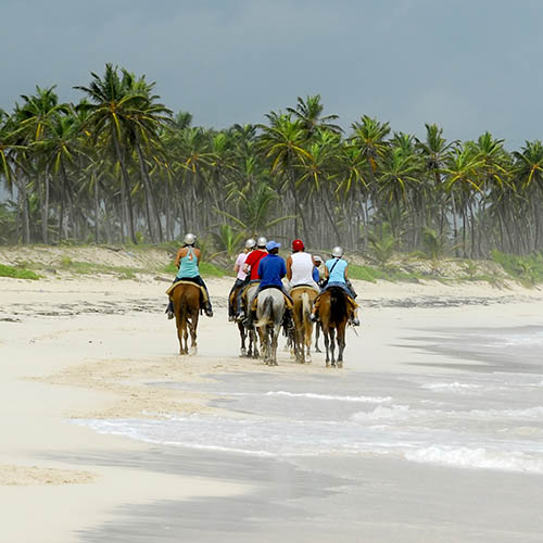 Group of people horse riding along a tropical beach