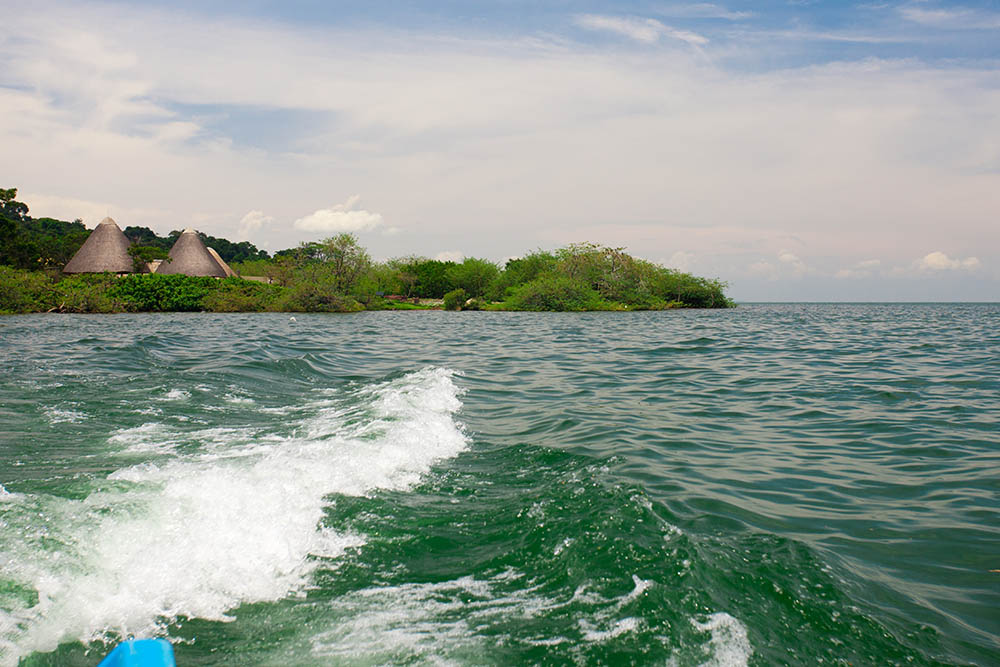 Ngamba Island, home of a chimpanzee colony on Lake Victoria, as seen from a moving boat, Uganda