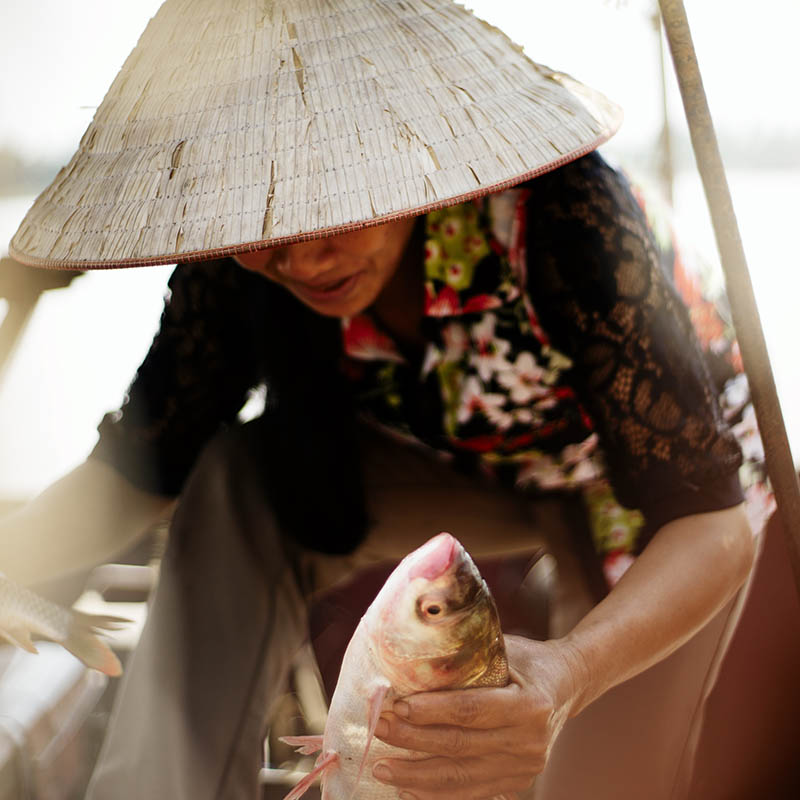 Vietnamese fisherwoman  on the Red River delta