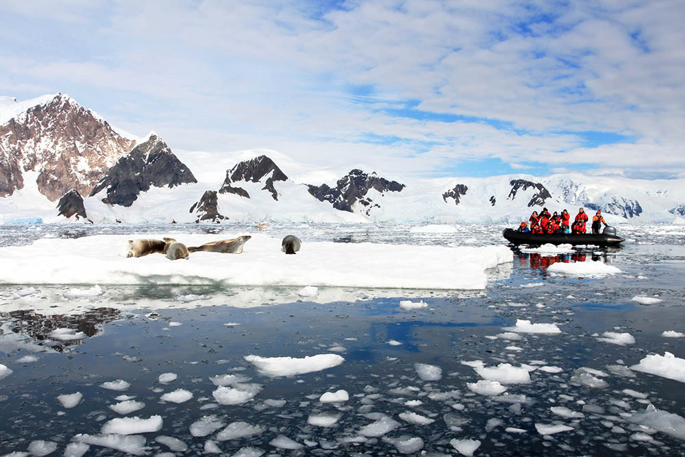 Inflatable boat full of tourists, watching for whales and seals