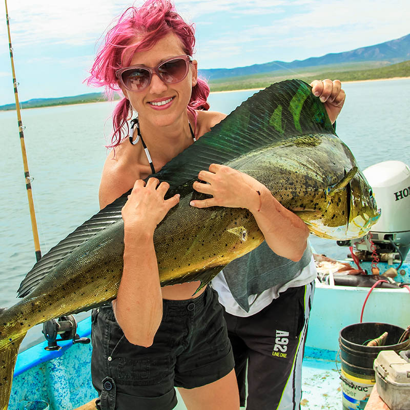 Young fisherwoman on a boat in her arms a big fish Dorado 15 lb, Baja de los Muertos, California Sur, Mexico, America.